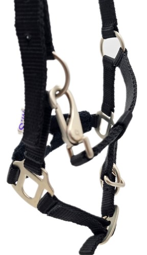 Nylonhalfter Mini Shetty Minishetty Fohlen Schwarz Sterne Nicky Fleece Tysons - Bild 8 von 13