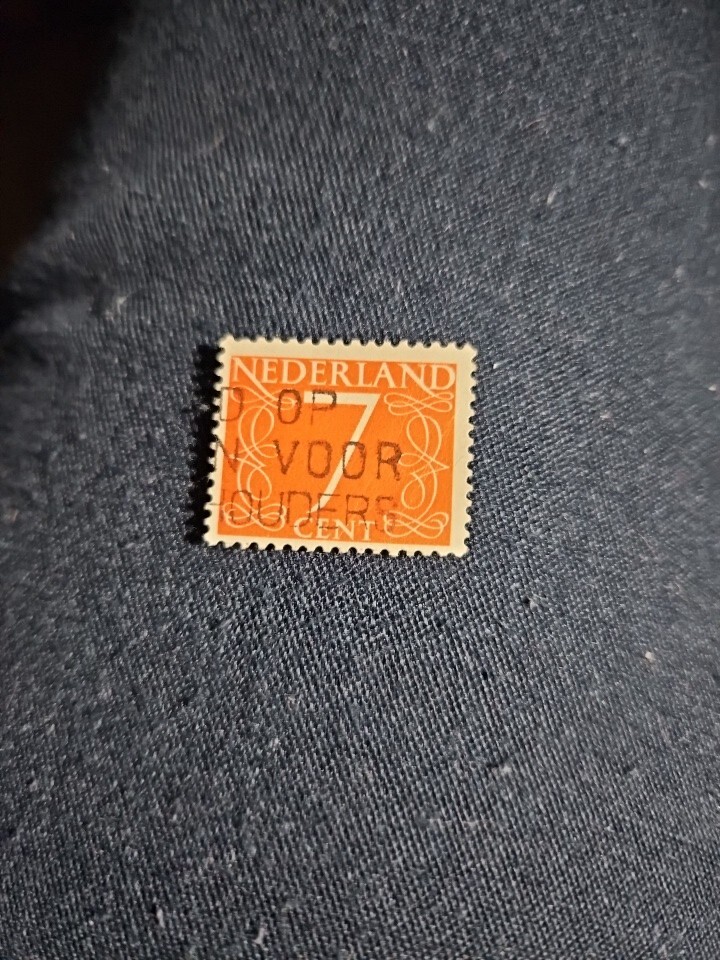 Foto 1 di 3