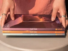 Switch, Self-Talk Journals Parts 1-3 Hardcovers First Edition