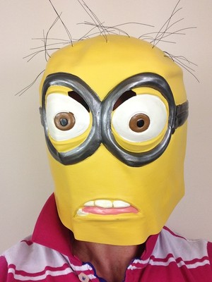 Felonius Gru Despicable Me Minions Movie Fancy Dress Halloween Adult Costume
