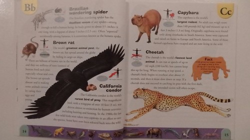 A-Z Dictionary of Extreme Animals, Bugs, Dinosaur or Endangered (Choice of 4) - 第 16/59 張圖片