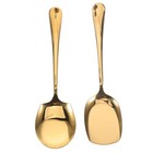 2 Pcs Stainless Steel Kitchen Serving Spoons With Handle For Household Use