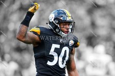 GF402 Ryan Shazier Pittsburgh Steelers 8x10 11x14 16x20 Photo
