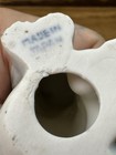 Foto 10 di 10