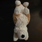Bild 5 von 11