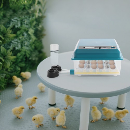 Incubatrice per uova con rotazione automatica delle uova, incubatrice per uova di gallina - Foto 6 di 16