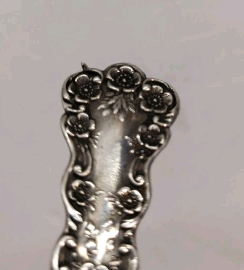 Picture 6 of 6