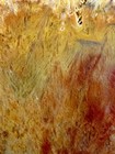 A+ Killer Sumatra Flame Sagenite Agate Indonesia. — photo 1