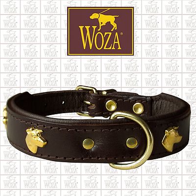 WOZA Jack Russel Terrier Hundehalsband Lederhalsband Vollleder Rindnappa Co  R691