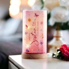 Personalised Sister Gift Butterfly Lamp With Wood Base LED Night Light WL-14