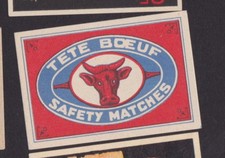 Ancienne étiquette allumettes  Belgique BN33011 Tête Boeuf 
