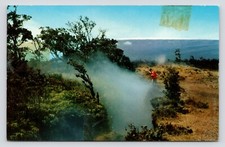 Steam Crack Kilauea Volcano Hawaii National Park Snow Capped Mauna Loa Postcard