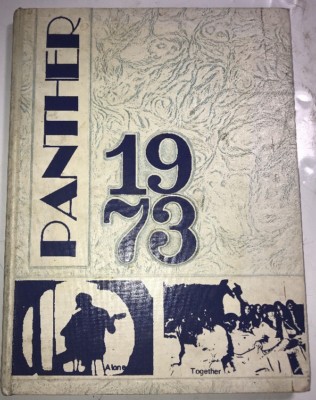 Ofallon Illinois High School Yearbook The Panther 1973 Nfl