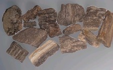 Petrified Wood with Smoky Quartz 6 oz