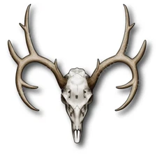 Deer Skull Decal Vinyl Sticker for Car Truck Laptop Window Outdoor Hunter Gift