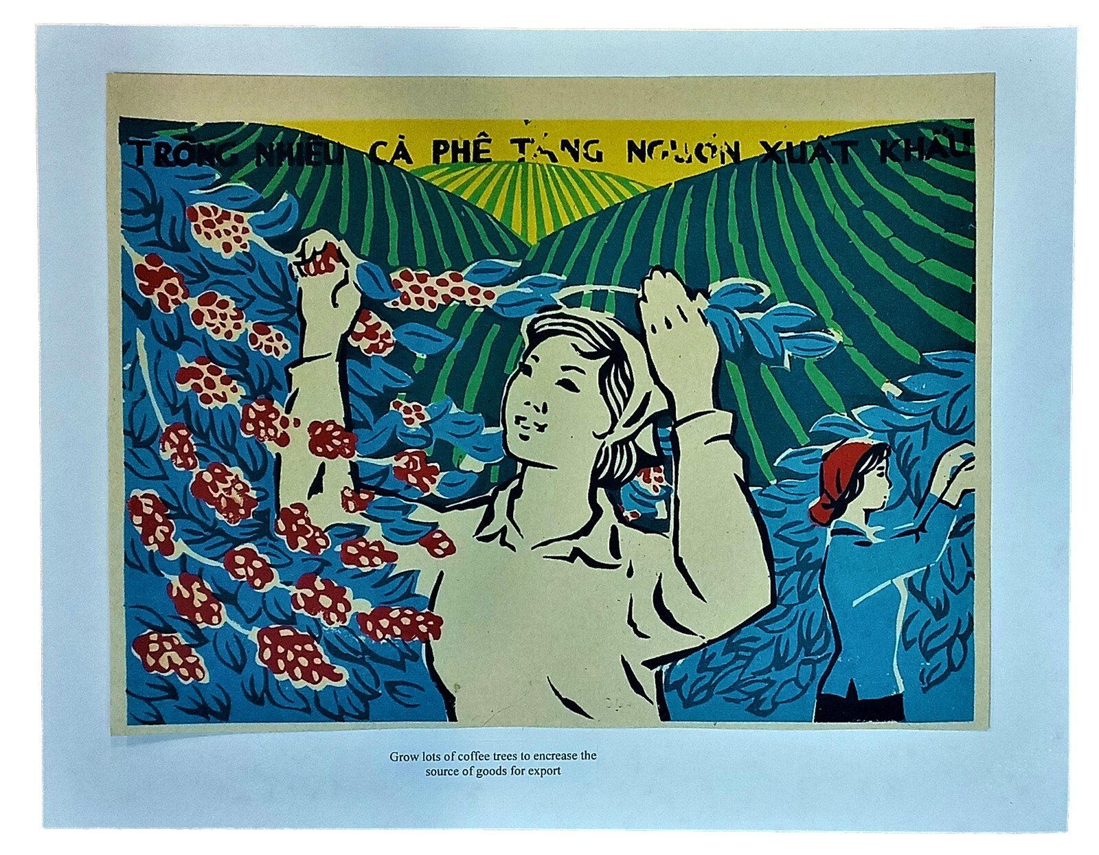 Vietnam War Propaganda Poster Coffee Bean Harvest Export 12X16in