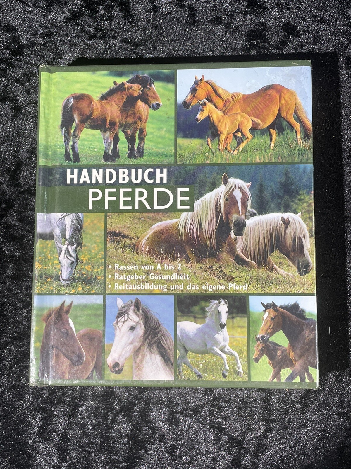 Thumbnail - Handbuch Pferde Rassen Von A-z Ratgeber Buch Lektüre Horse Book Hlf2