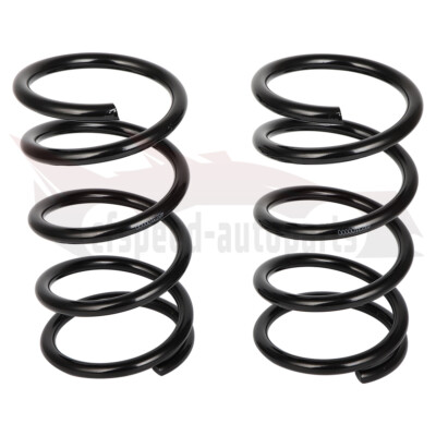 #ad Rear Left Right For Toyota RAV4 2001 2005 2.0L 2.4L Sport Utility Coil Spring $36.97