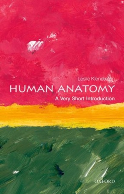 Human Anatomy A Very Short Introduction by Leslie  Klenerman (Paperback Book)