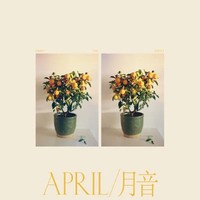 April | CD | Emmy The Great | Audio-Cd | CD | 2020 | Believe | EAN 5400863035327