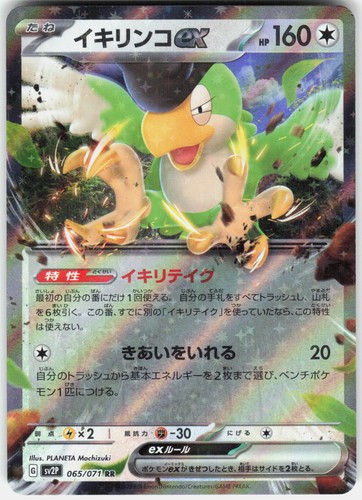 Squawkabilly EX 065/071 Double Rare Snow Hazard Pokemon Japanese Holo Near Mint