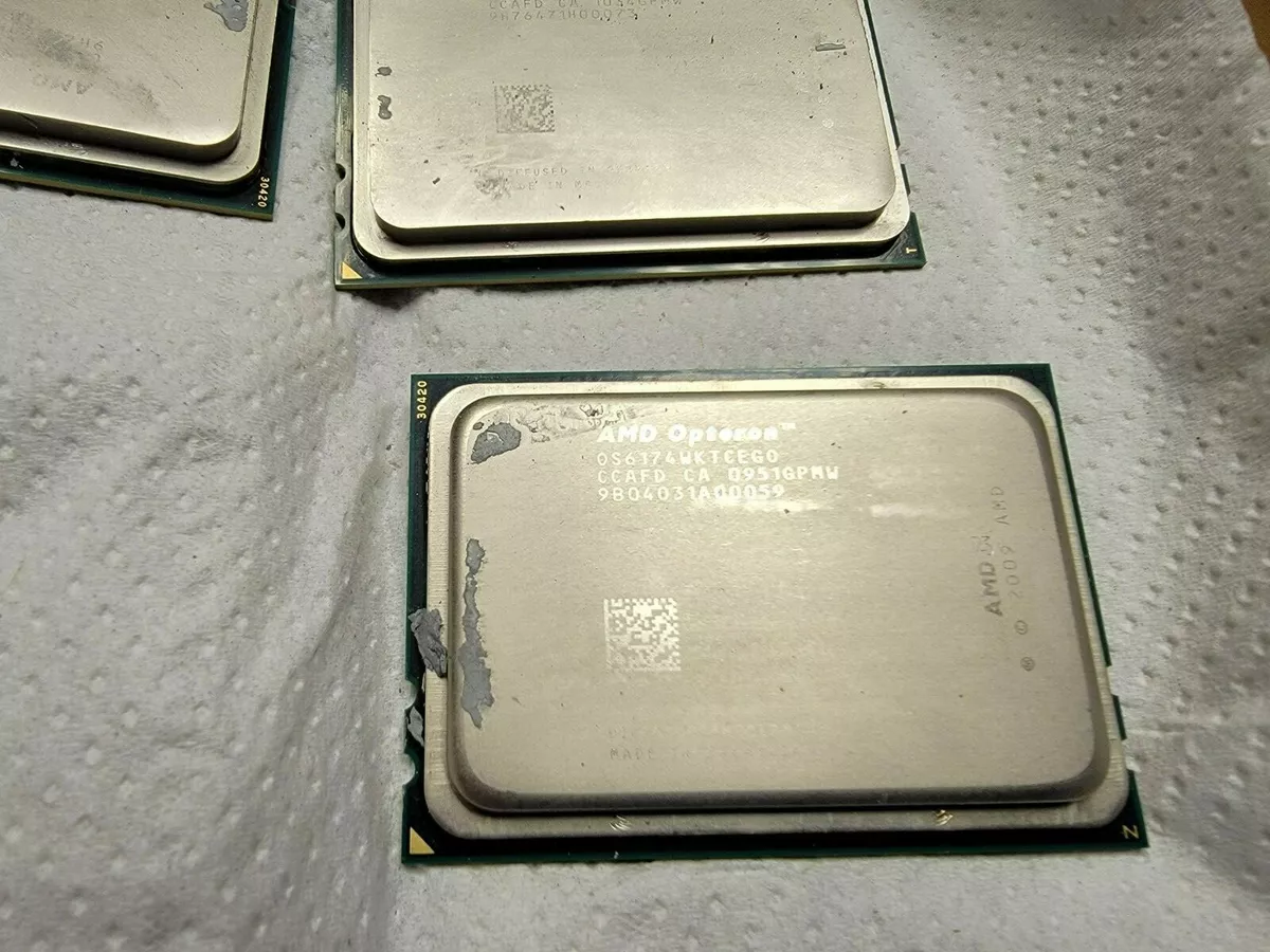 baard In hoeveelheid Verfijnen AMD Opteron 6174 CPU 2.20 GHz 12-Core 12MB Socket G34 Server K10 OS6174WKTCEGO 777786062187 | eBay baard In hoeveelheid Verfijnen AMD Opteron 6174 CPU 2.20 GHz 12-Core 12MB Socket G34 Server K10 OS6174WKTCEGO 777786062187 | eBay