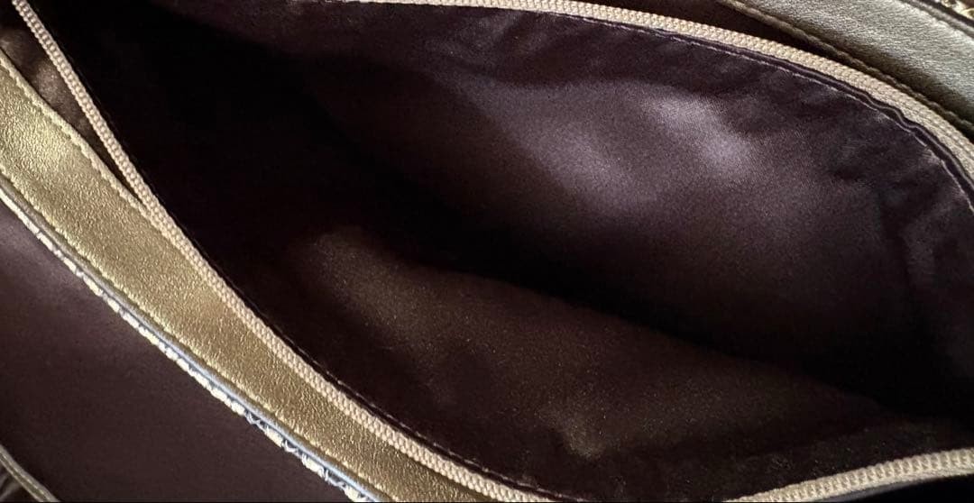 COACH Python Leather Clutch Bag Gold Studded Limi… - image 10