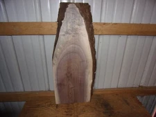 SMALL RUSTIC WALNUT SLAB KILN DRIED LUMBER 7/8" THICK LOT F60F LIVE EDGE