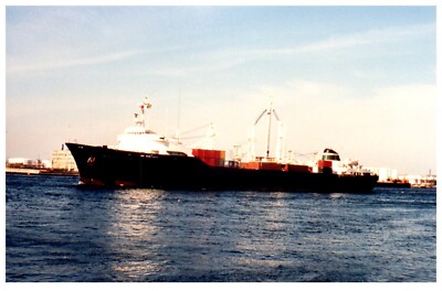 Del Viento General Cargo Ship (1968) Photograph Vintage 4x6'' IMO 6828521