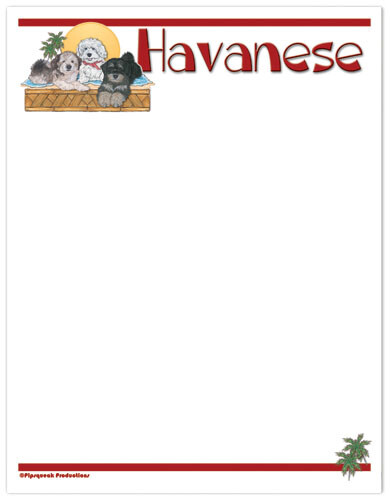 Havanese Printable Stationery, Writing Paper, 8.5" x 11" 25 Sheets and 25 Envelo - Picture 1 of 1