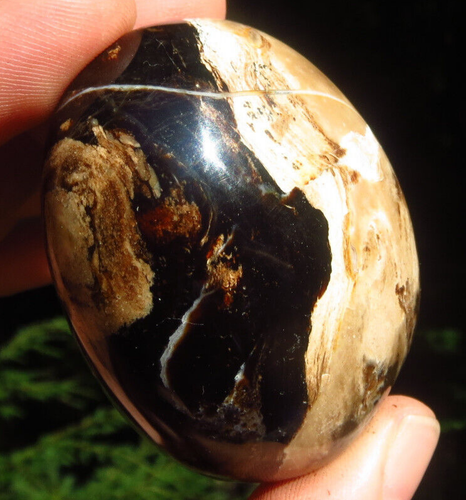 FUDGE SWIRL CHOCOLATE BROWN BLACK OPAL GEM GRADE CRYSTAL PALMSTONE MADAGASCAR *6 - Picture 2 of 12