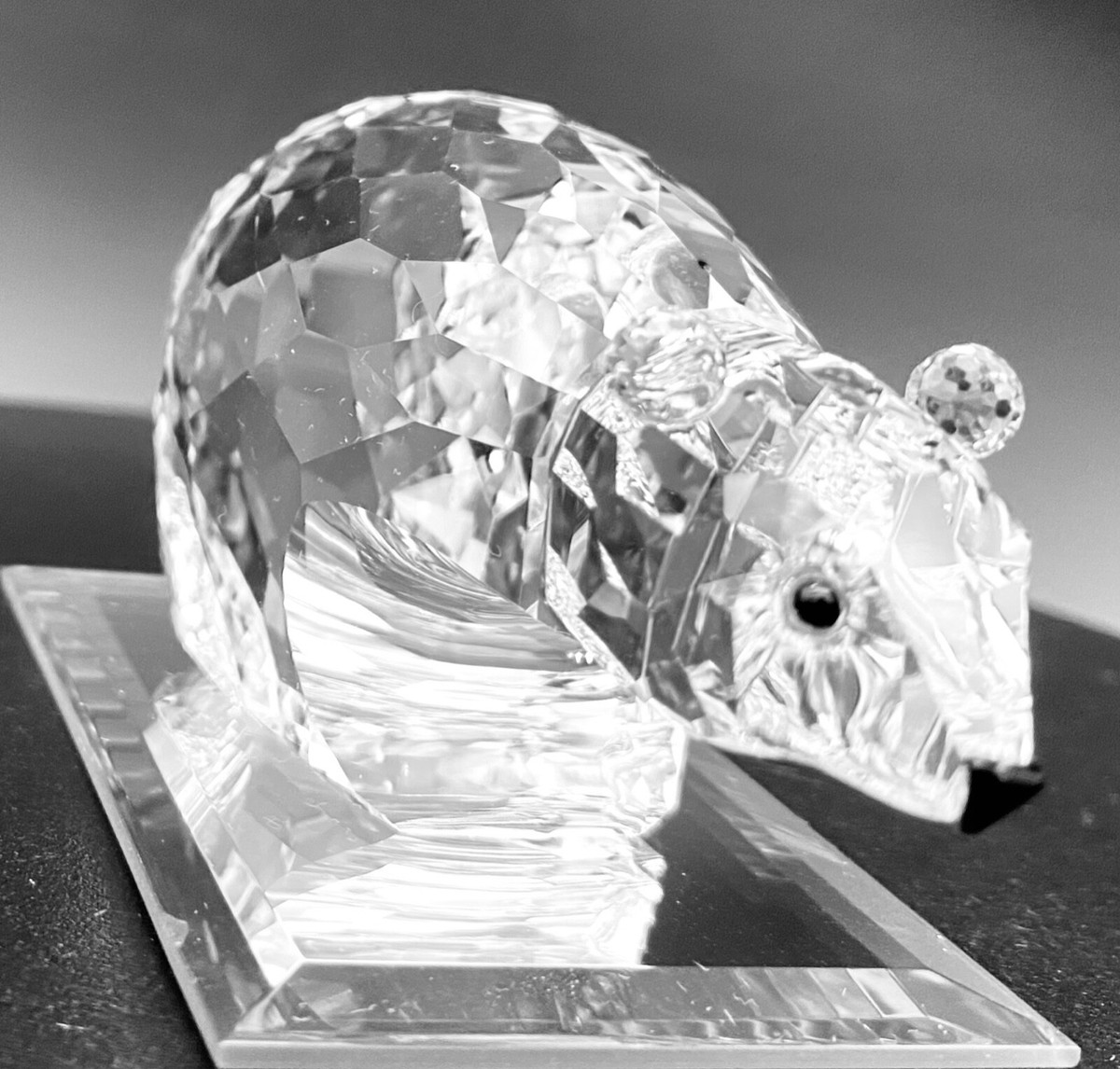 スワロフスキー　no9 楽天市場】スワロフスキー SWAROVSKI シグナム Signum スワン
