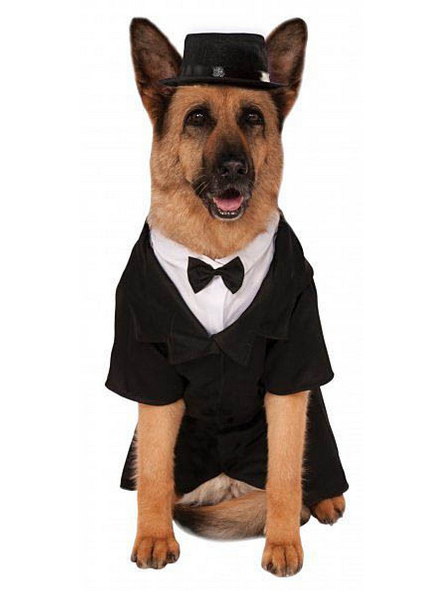 Big Dog Dapper Costume Big Dog Dapper Costume