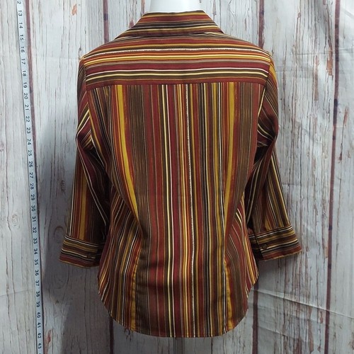 Allison Morgan Colorful Earthtine Striped Button Blouse - Picture 5 of 15