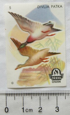 Vintage Matchbox Label - Drava Osijek - Divlja Patka