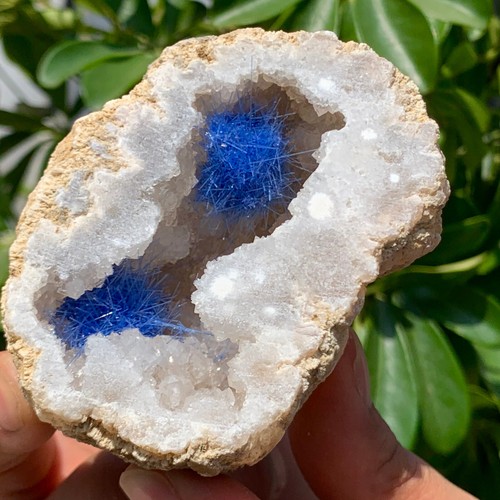 247G Rare Moroccan blue magnesite and quartz crystal coexisting specimen - 第 12/13 張圖片
