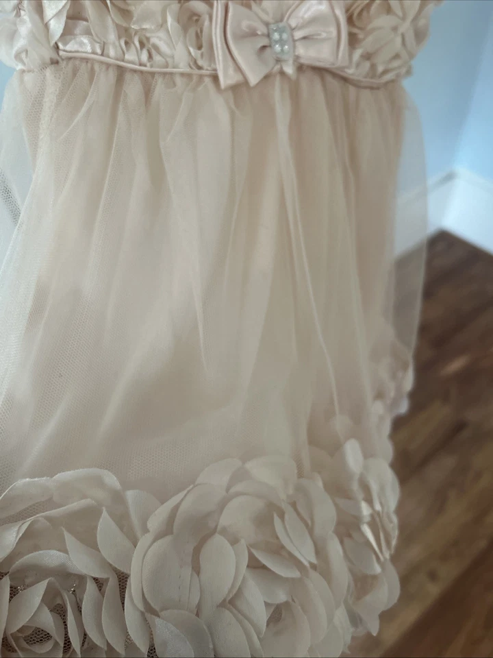 Vestido Nannette Baby Champagne Color 3D Flores Niño Pequeño 24M Foto 3 de 4