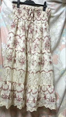 Heisei Era Retro Rose Lace Dress Fairy Mori Girl Y2K Used