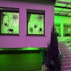 Foto 7 di 8