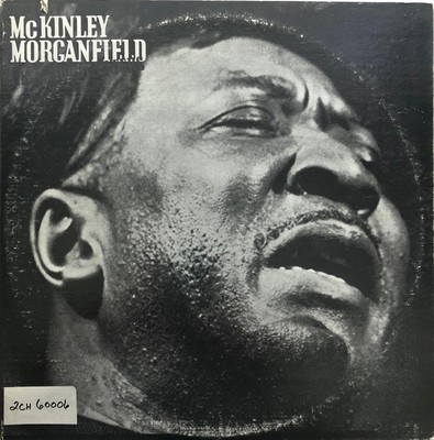 Muddy Waters McKinley Morganfield A. 2xLP Comp Mono RP Vinyl Schallplatte 0035