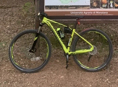 Specialized Rockhopper 29