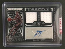 DALEN TERRY 2022-23 Panini Obsidian Ink Rookie Patch-Auto #RJI-CDT 39/99