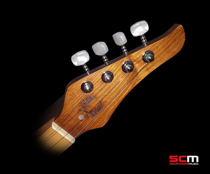 Appalachian Mountain Dulcimer inc Gig Bag & Noter Handmade in Romania Applecreek - Image 4 of 4