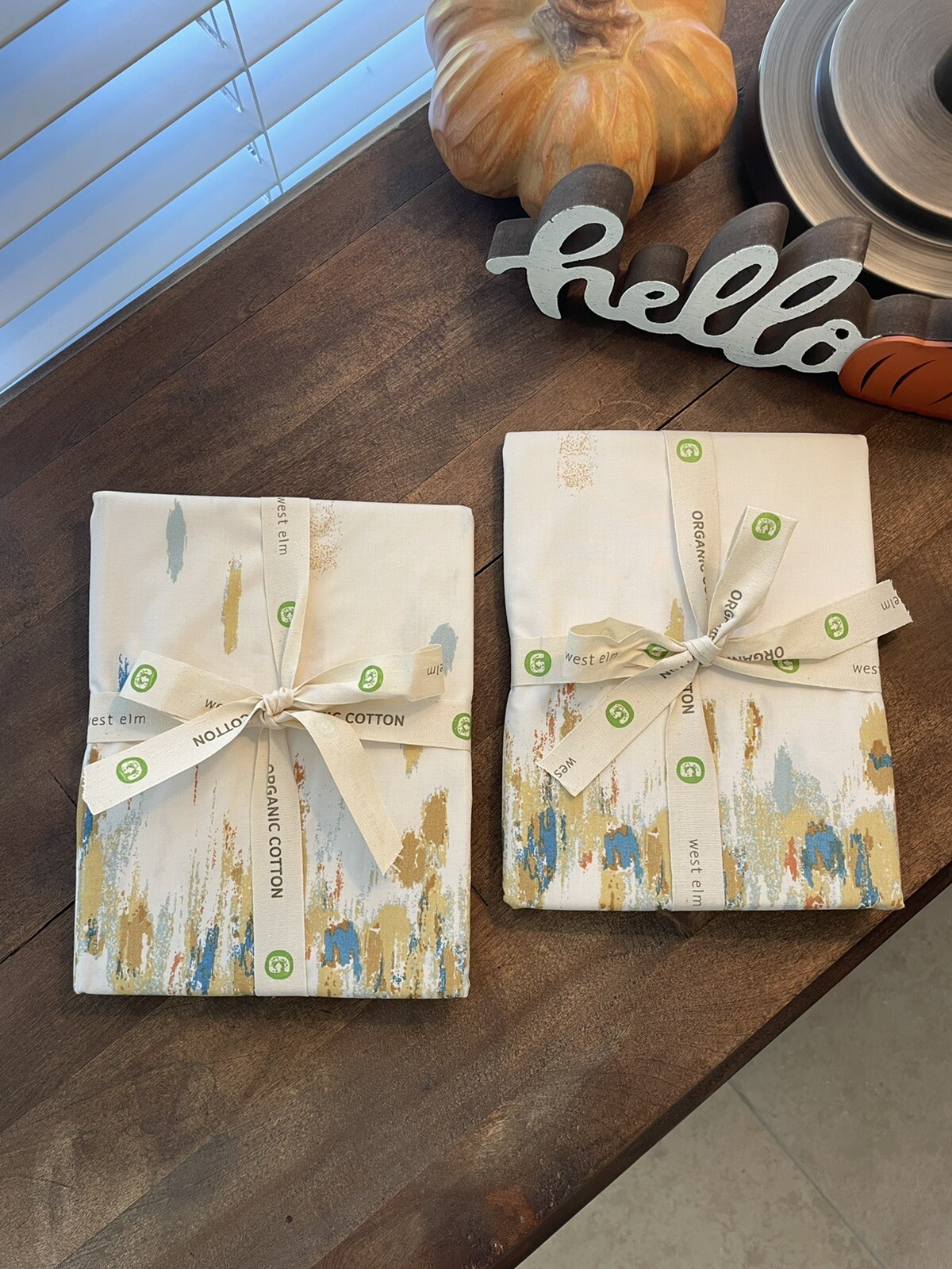 West Elm Organic Cotton Paint Brushstroke Multicolor Euro Shams Set Of