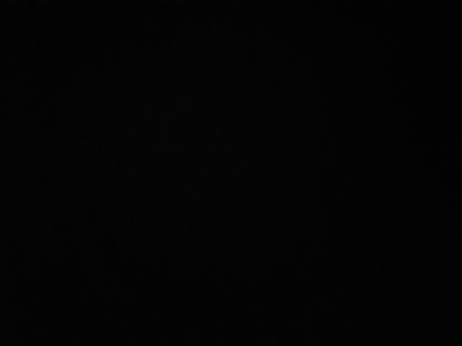 Bild 8 von 13
