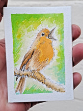 ACEO Original, NOT A PRINT, Watercolour Painting ROBIN - DIRECT FROM ARTIST