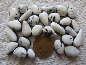 27 Natural White Buffalo Turquoise 100 carats Cabochons Wholesale Lot Cabs