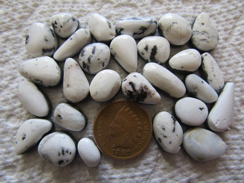 27 Natural White Buffalo Turquoise 100 carats Cabochons Wholesale Lot Cabs