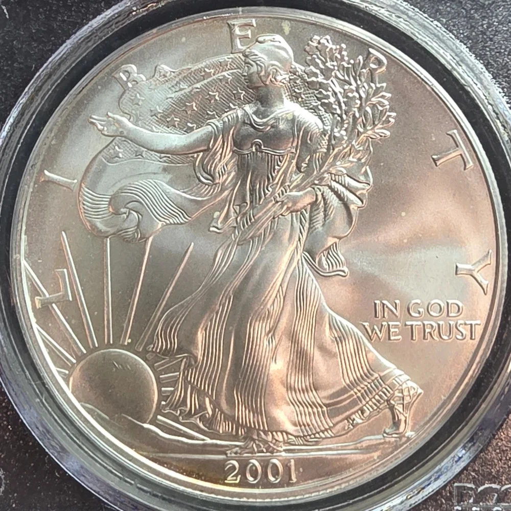 American Eagle MS 69 Graded 2001 Silver Bullion Coins for sale | eBay