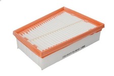 Luftfilter MANN-FILTER C 2439 RENAULT MEGANE CC (EZ0/1_) 2 2010-2015